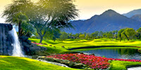 Palm Desert